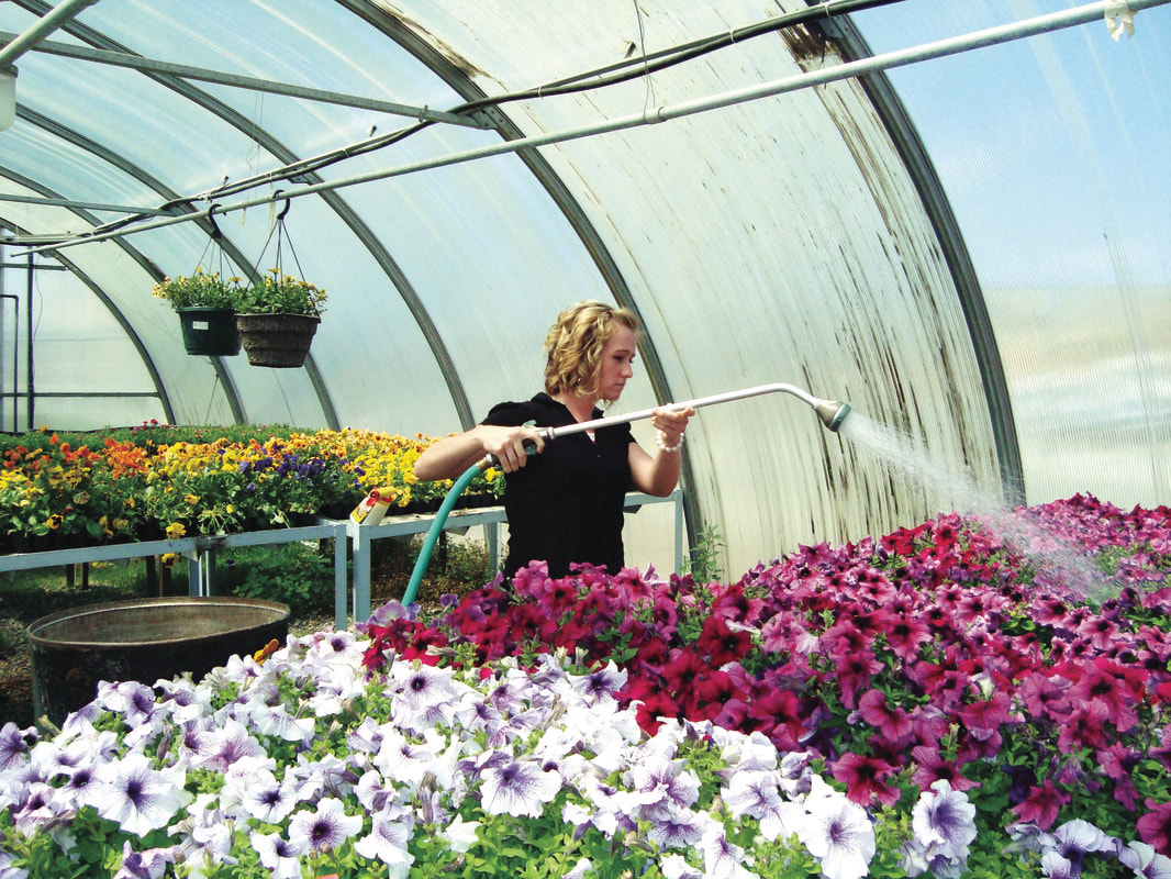 greenhouse
