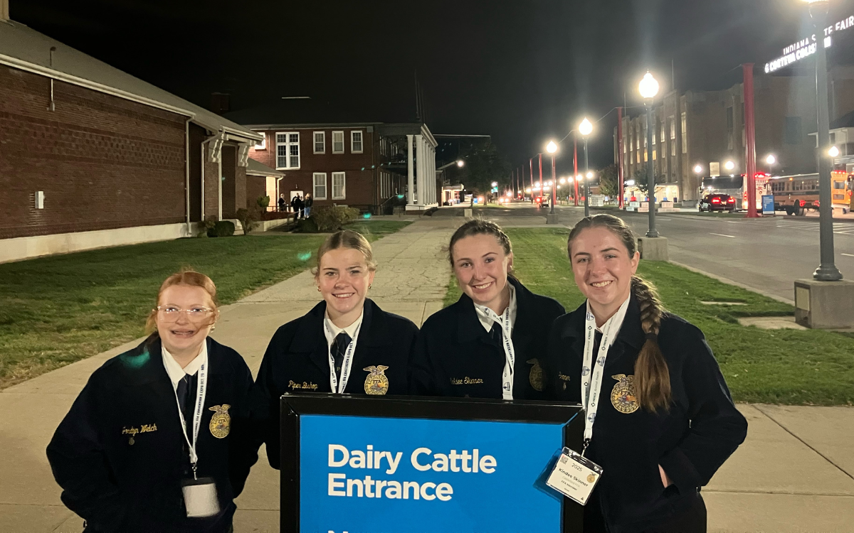 Dairy Cattle Evaluation